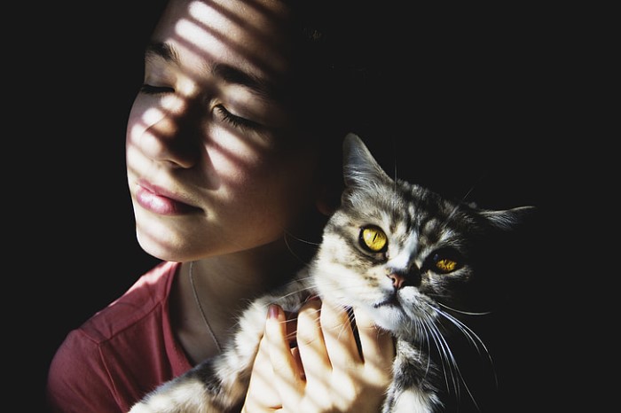An Impossible Choice: Domestic Violence and Pets