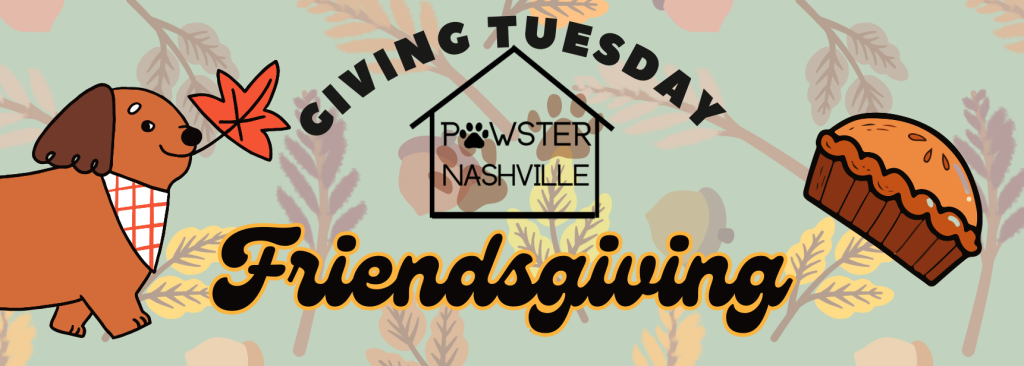Pawster Nashville Friendsgiving Nov. 28th at the Lipstick Lounge