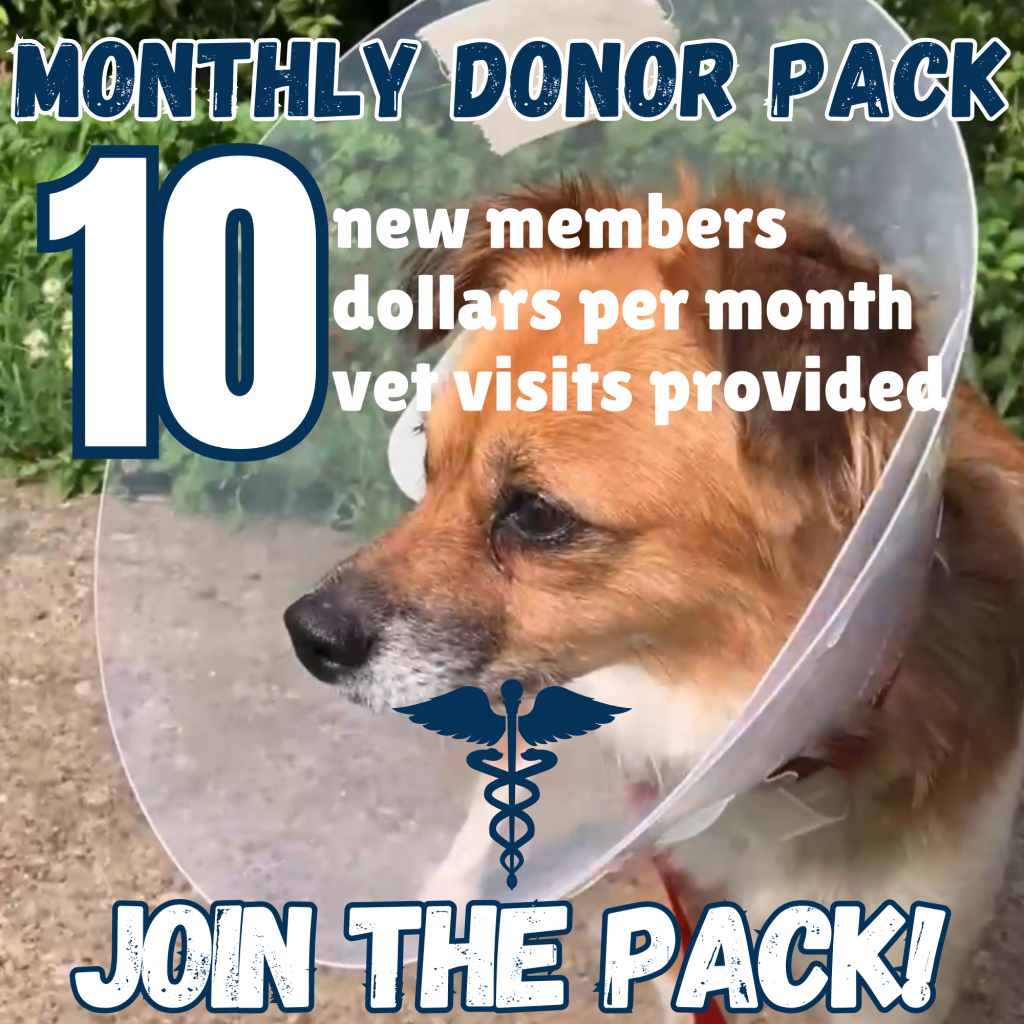 Monthly Donor Pack Image