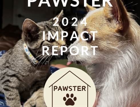 2024 Impact Report